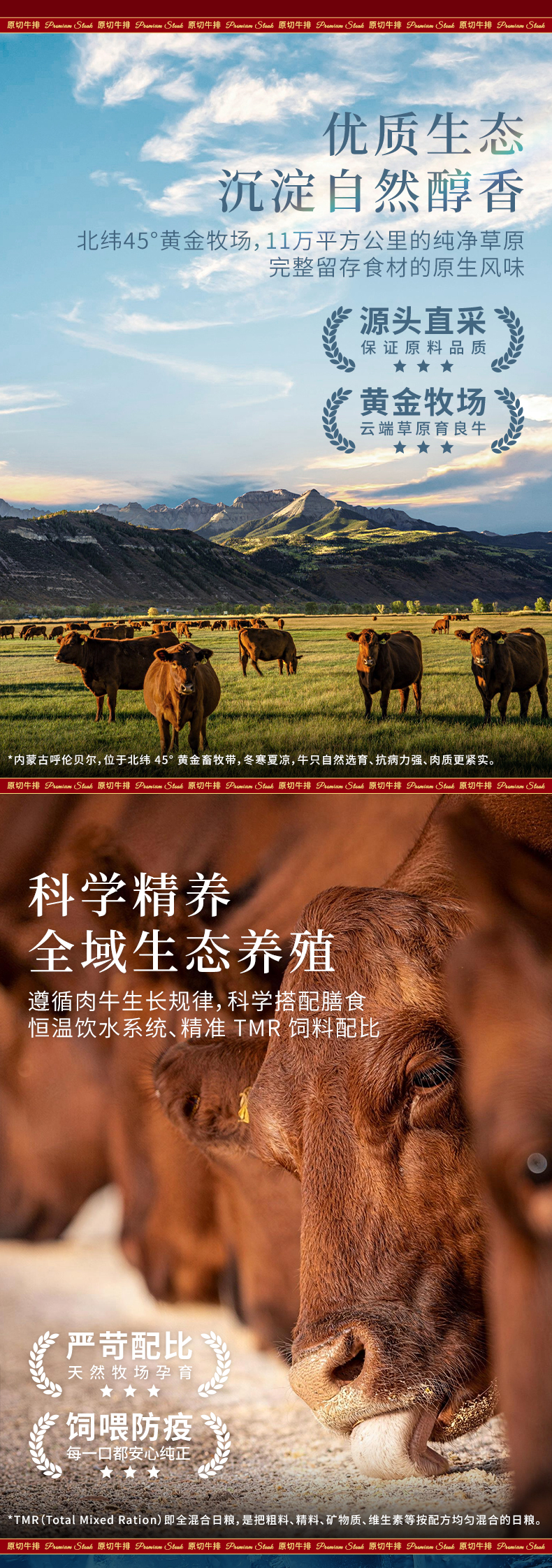 澳享原切牛排详情-338型_04.jpg