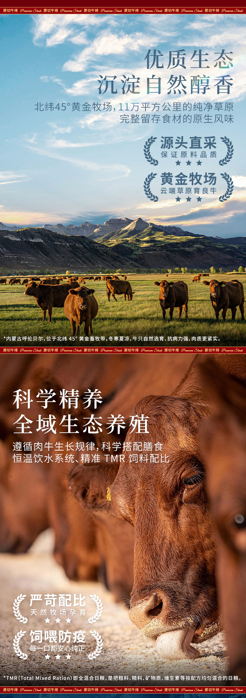 澳享原切牛排详情-1298型_04.jpg