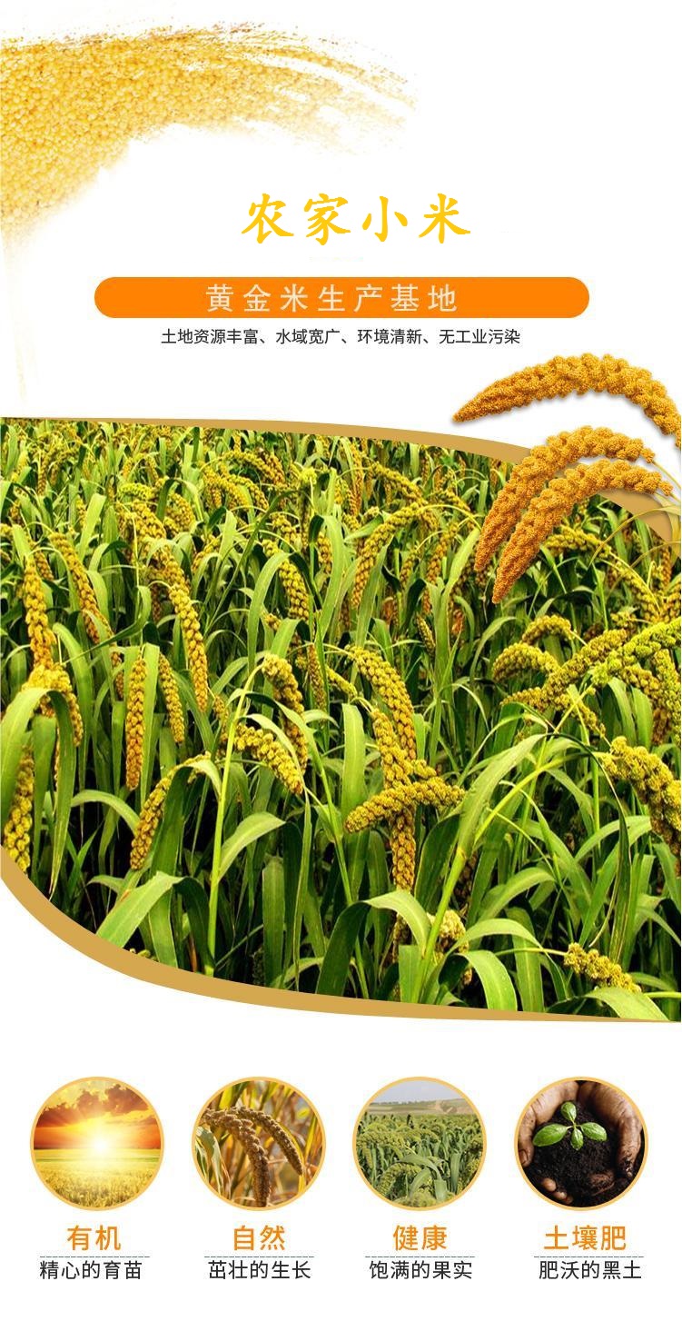微信图片_20260817174332_970_2.jpg