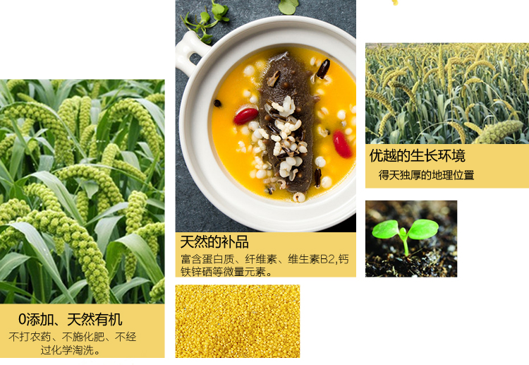 微信图片_20260817174337_971_2.png