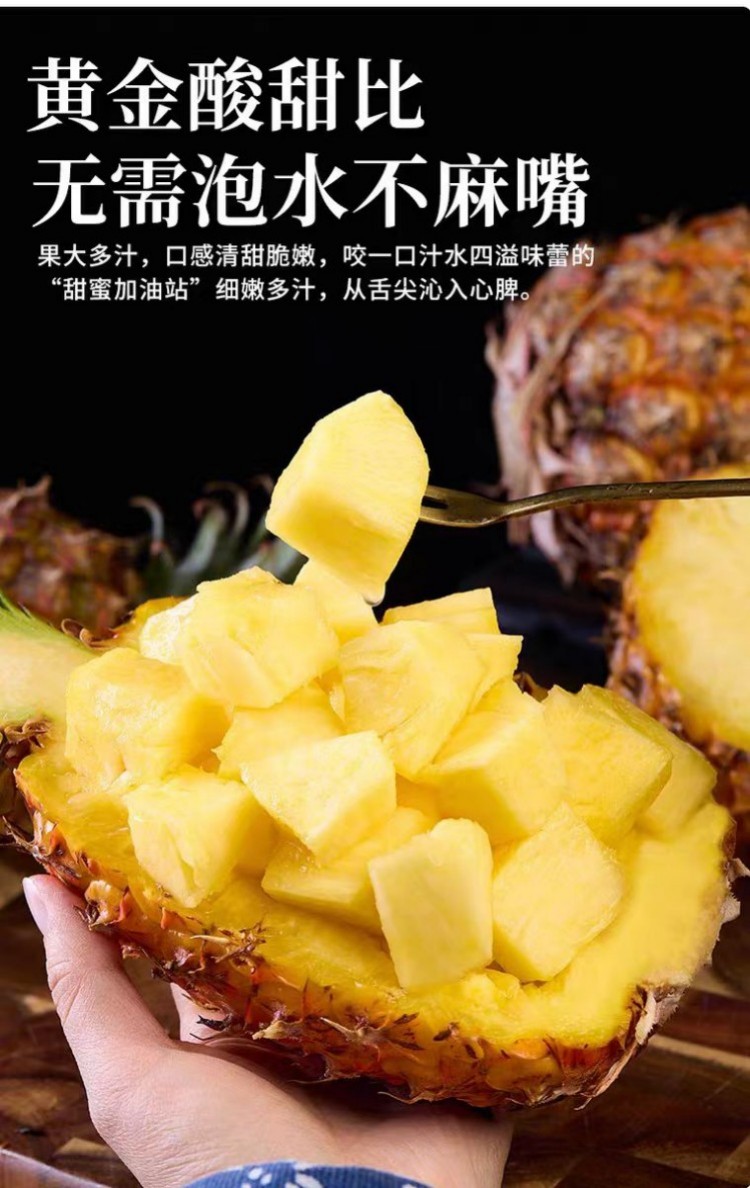 详情页1.jpg