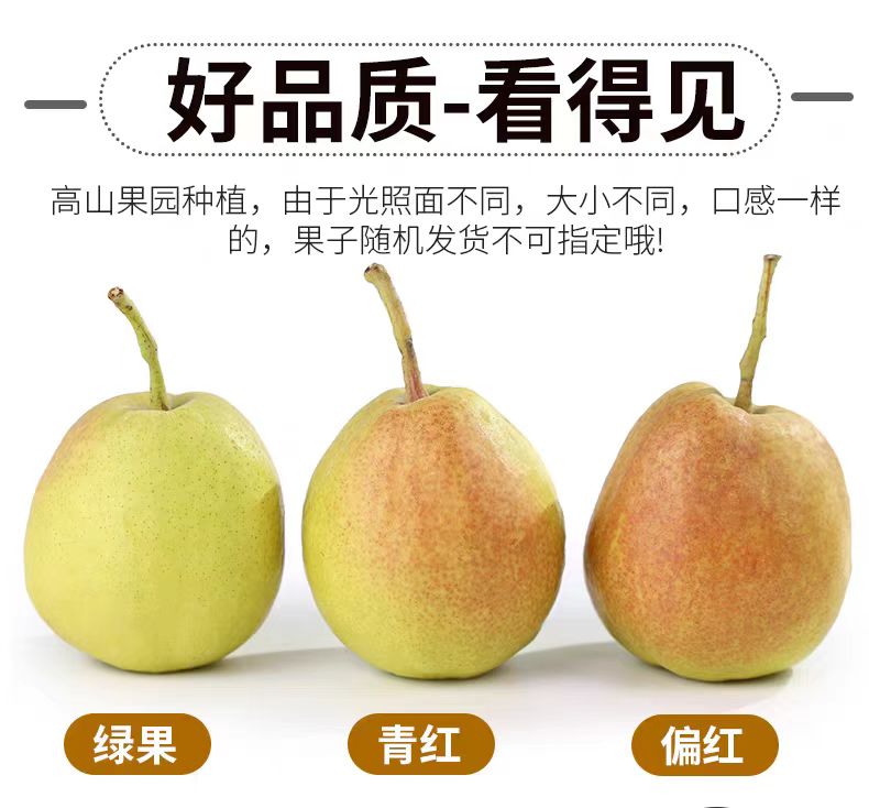 详情页9.jpg