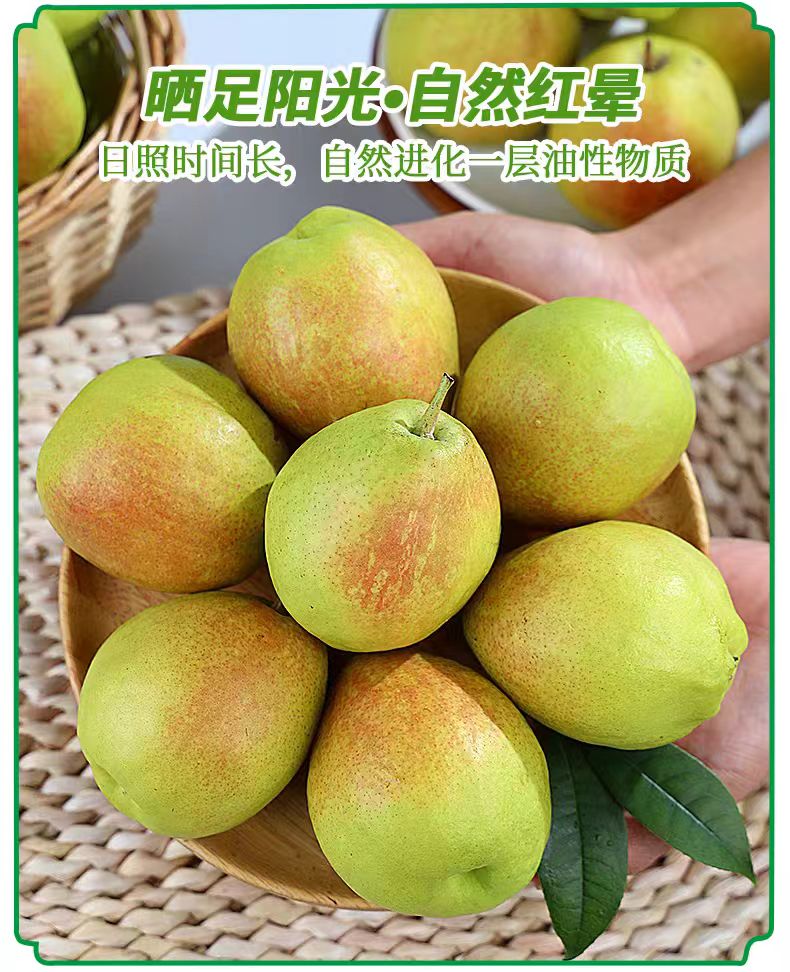 详情页7.jpg