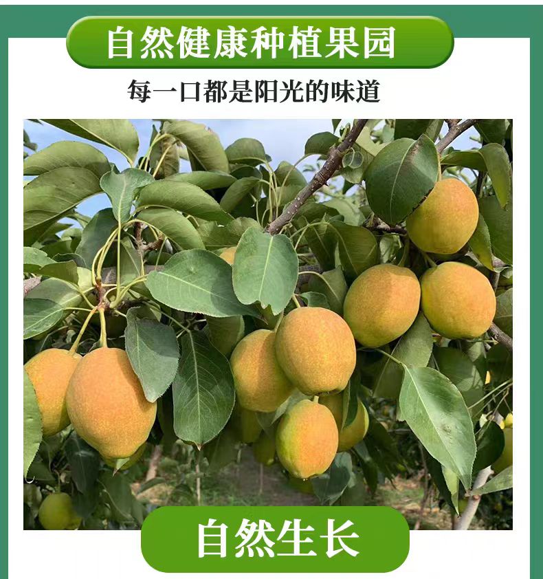 详情页8.jpg