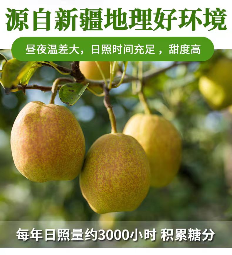 详情页2.jpg