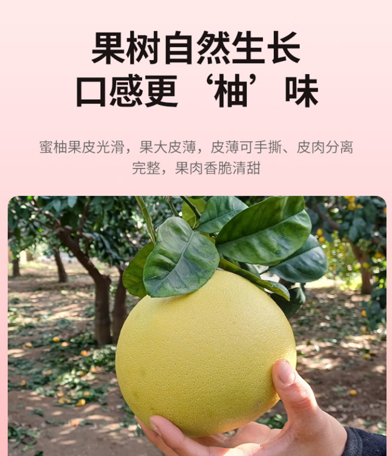 详情页3.png