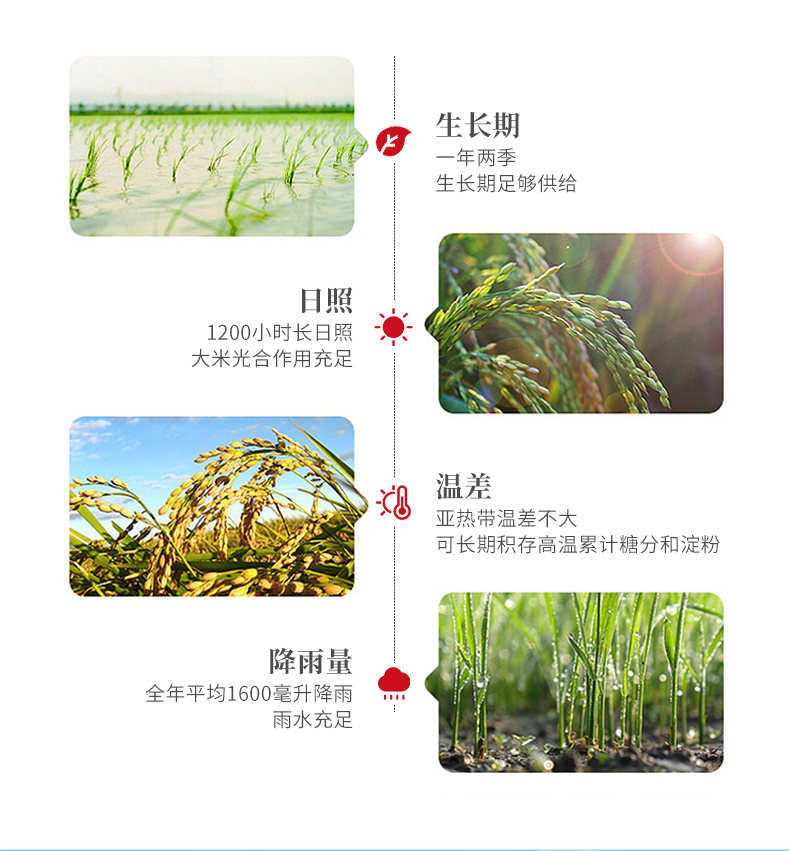 富硒米5斤详情_04.jpg