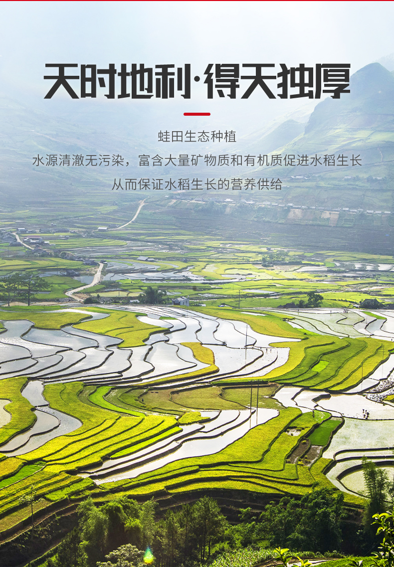 富硒米5斤详情_03.jpg