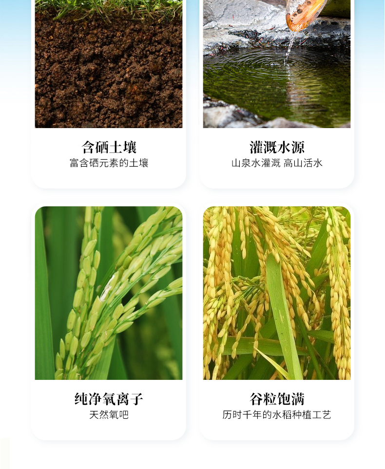 富硒米5斤详情_06.jpg