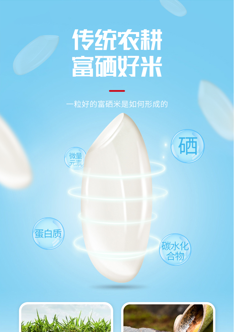 富硒米5斤详情_05.jpg
