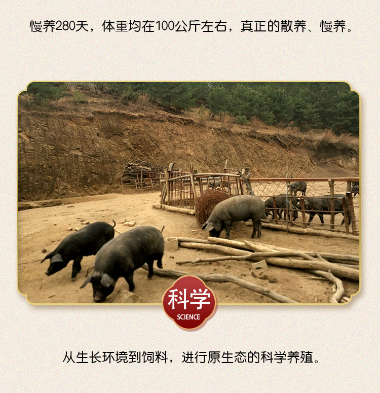 黑土猪礼盒_06.jpg