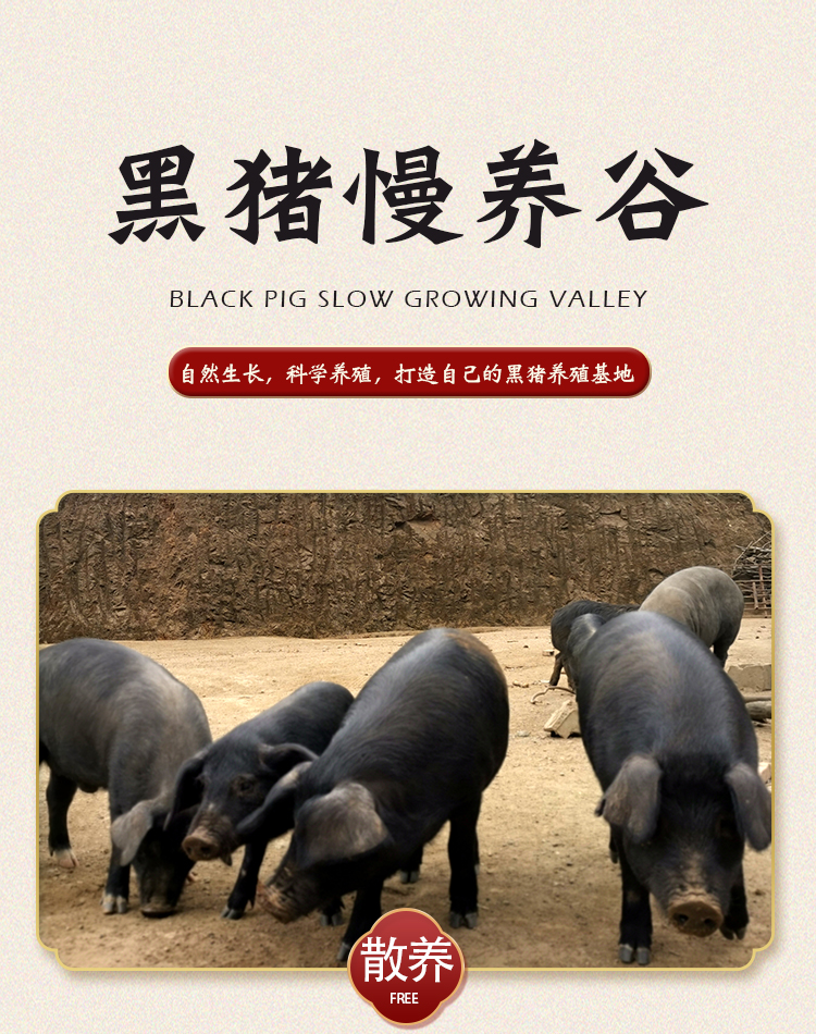 黑土猪礼盒_05.jpg