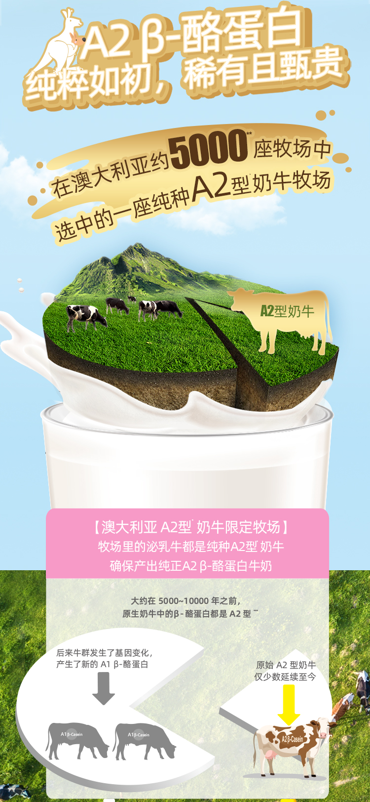蓝色_01 (2).jpg