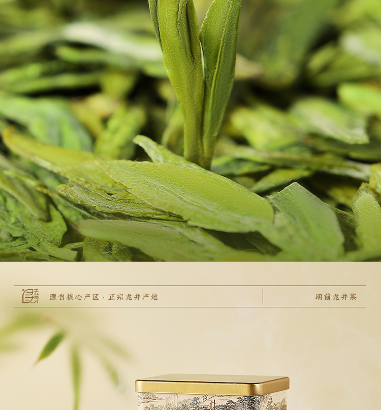 750_05.jpg
