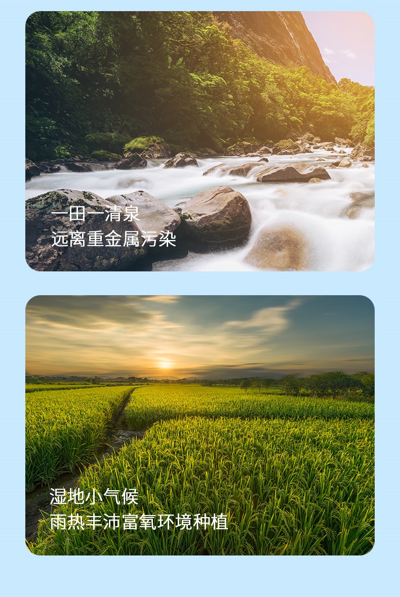无忧农民-东北大米_05.jpg