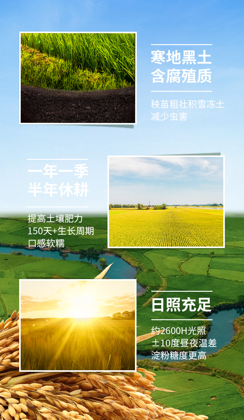 东北长粒香5kg_02.jpg