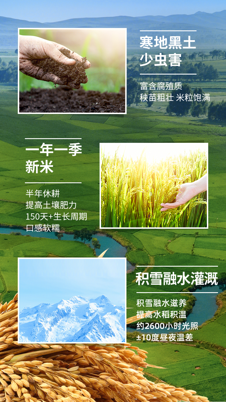 东北雪山米2.5kg_02.jpg
