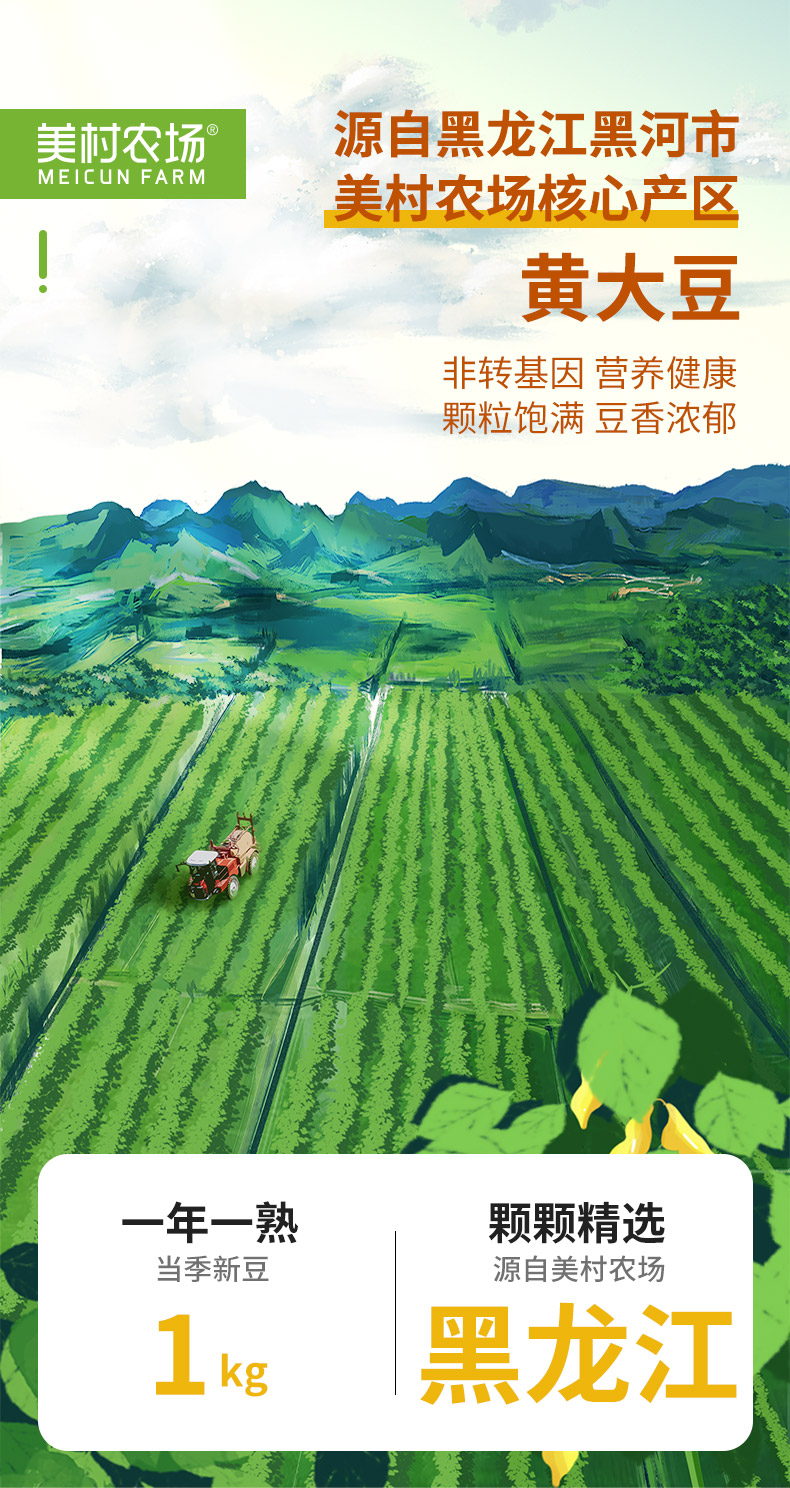 黄大豆详情_01.jpg