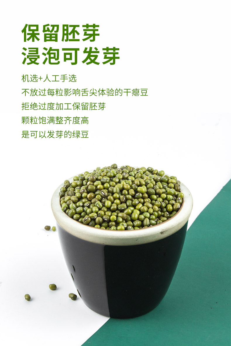 绿豆详情_03.jpg