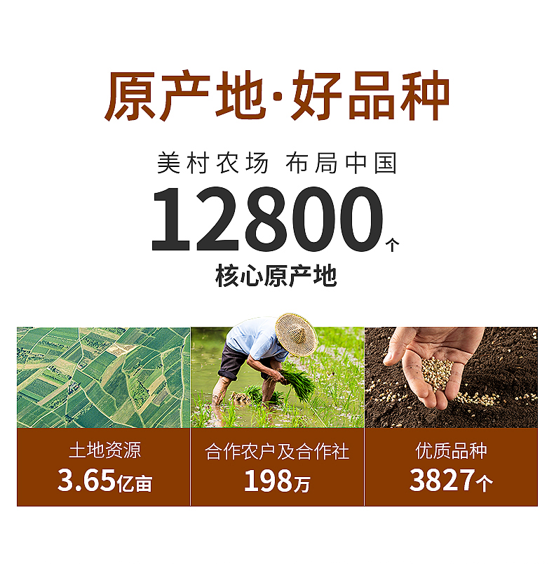 薏米_01.jpg
