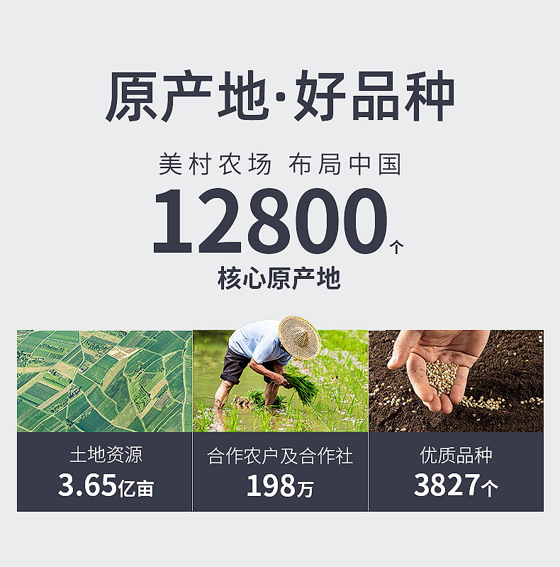 黑米_01.jpg