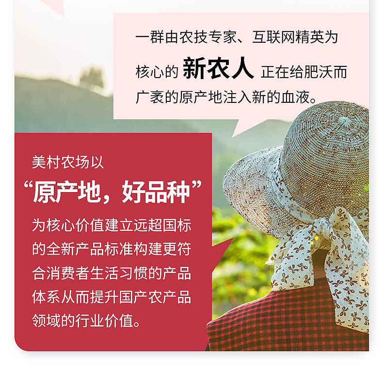 红豆详情_10.jpg