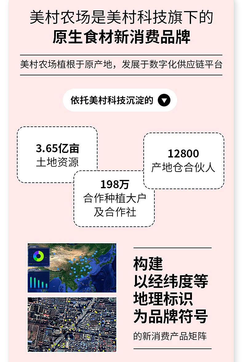 红豆详情_08.jpg