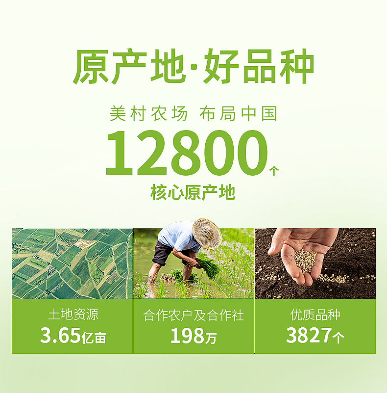 三色藜麦详情_01.jpg