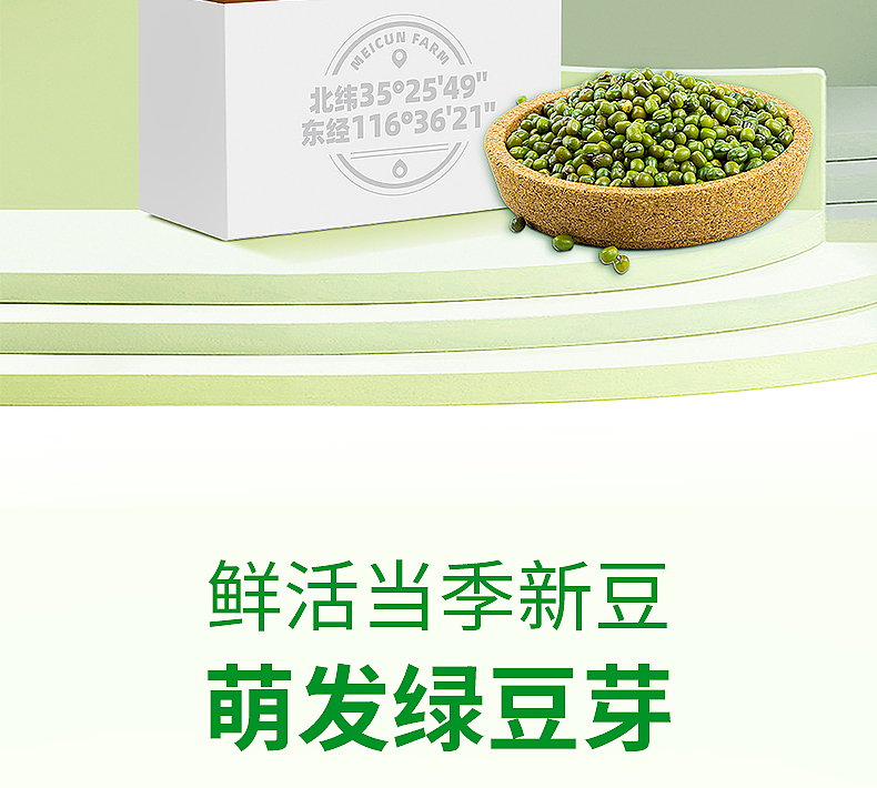 绿豆详情_03.jpg