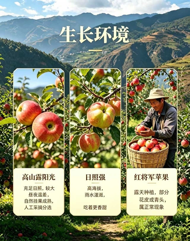 详情页2.jpg