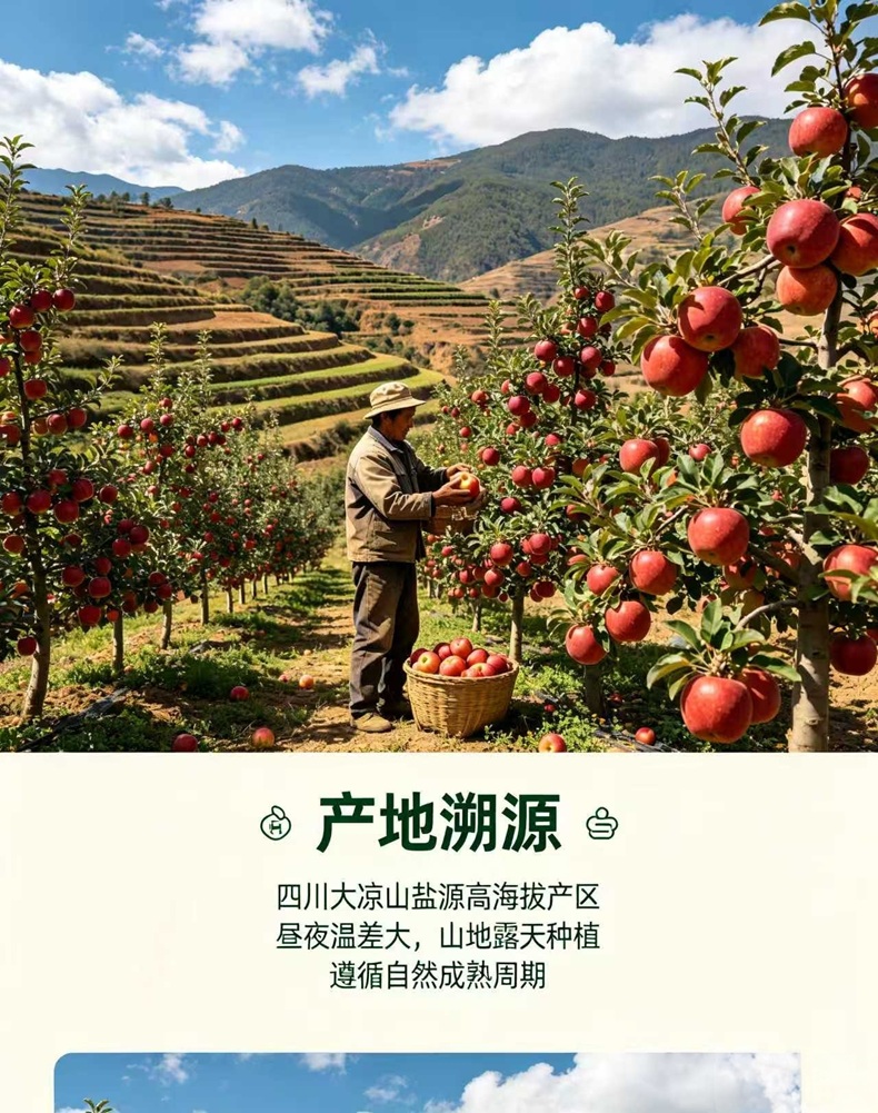 详情页3.jpg